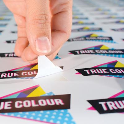 Folex Self Adhesive Film SIVC