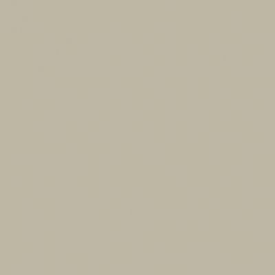Silhouette Cardstock Taupe