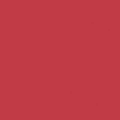 Silhouette Cardstock Strawberry 