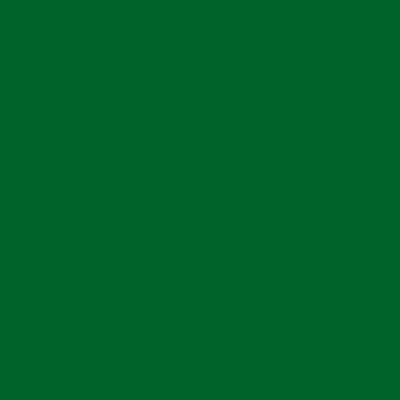 Silhouette Matt Vinyl Green