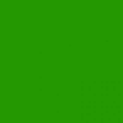 Silhouette Matt Vinyl Light Green