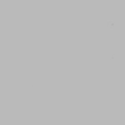 Silhouette Mint Ink GRY - 5 ml. grey / grijs