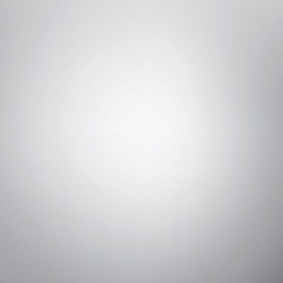 Aslan CA 23-13102K - mirror silver breedte 1,25 meter