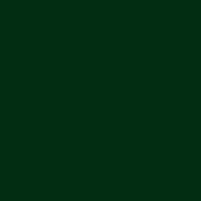 Silhouette Glossy Vinyl Dark Green