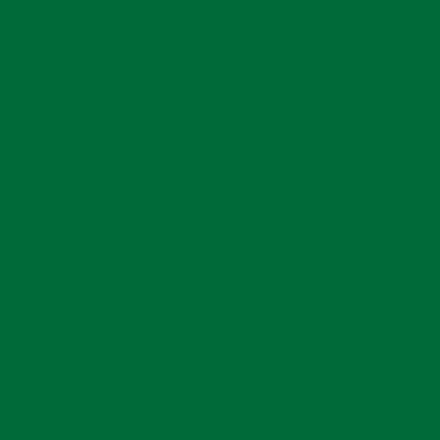 Silhouette Glossy Vinyl Green