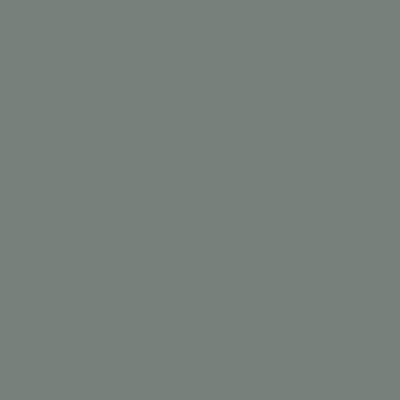 Silhouette Glossy Vinyl Grey 