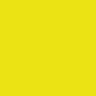 Silhouette Glossy Vinyl Lemon