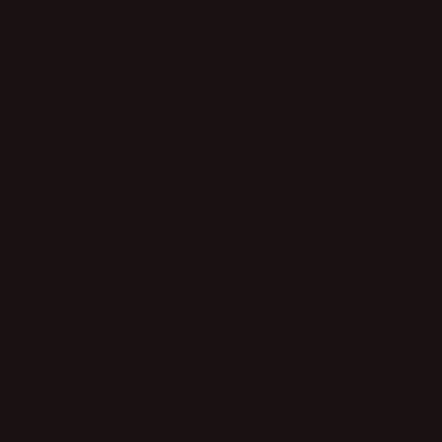 Nazdar 204 light black