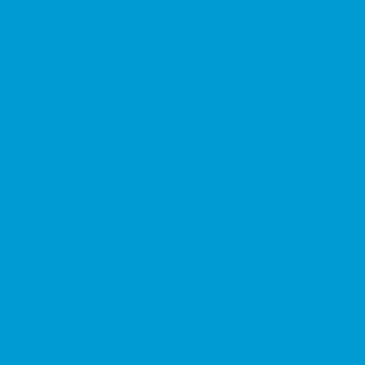 Nazdar 204 light cyan