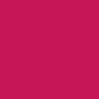 Epson T53L300 magenta