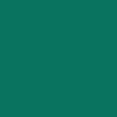 OraLite 5400-060 - reflective