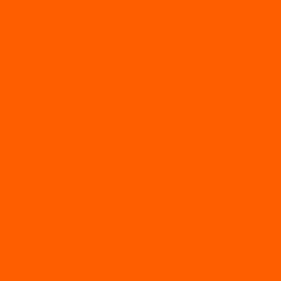 Epson T53LA00 orange